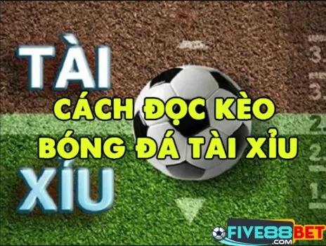 Cách đọc kèo tài xỉu bóng đá