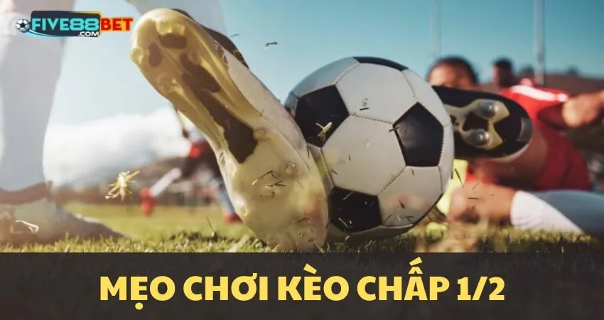 Cách bắt kèo chấp 1/2 hiệu quả tại Five88