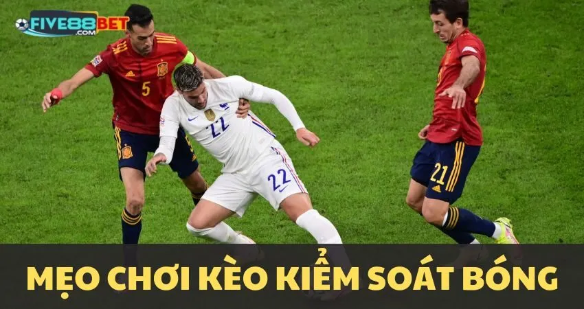 Nghiên cứu đội bóng