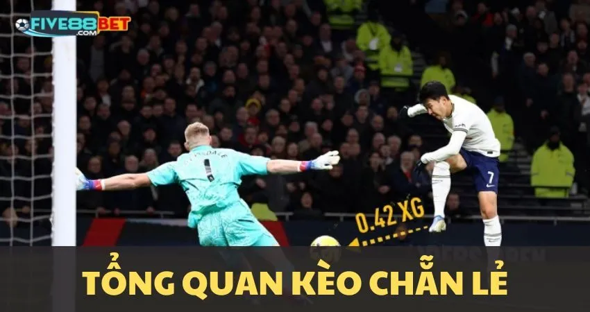 Kèo chẵn lẻ là gì?